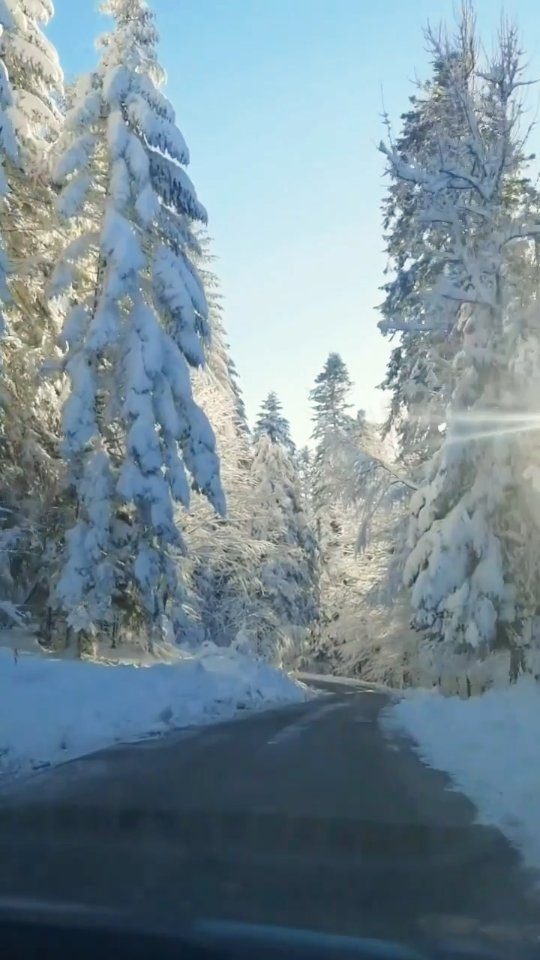 Sretan i blagoslovljen Božić svima od srca 🎅🎄🛷