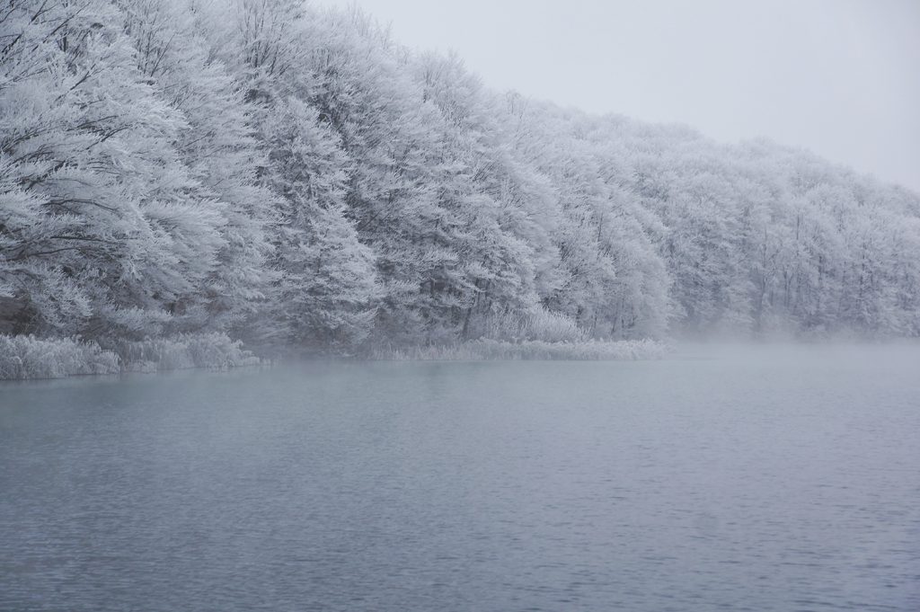 Plitvička jezera zimi šuma