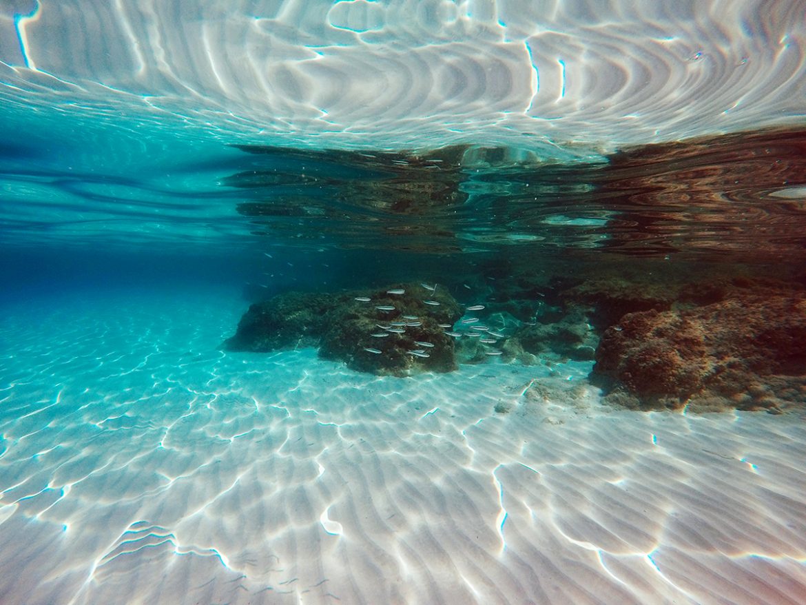 DCIM100GOPROGOPR7547.