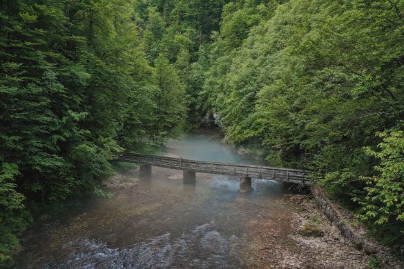 default risnjak most