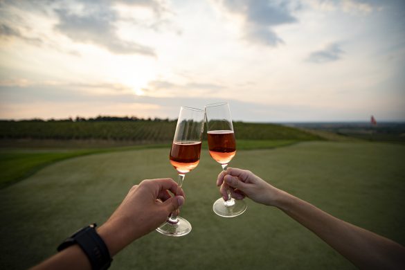 sedam razloga za bijeg u Srijem i Slavniju galerija