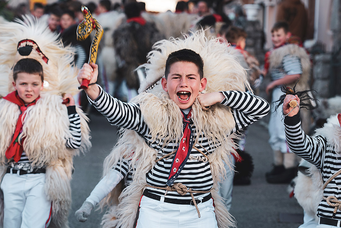 mladi zvončar viškovo