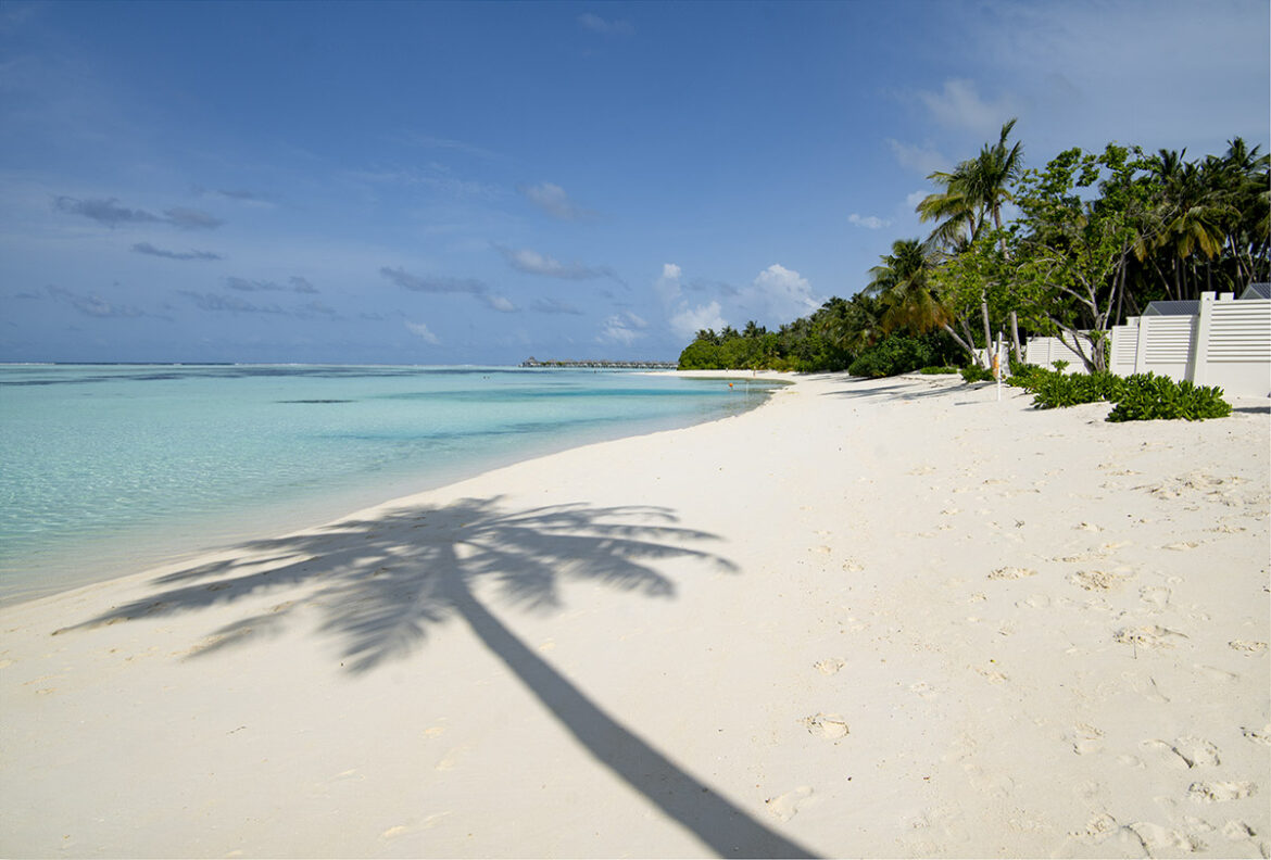 Sun Island sun island
