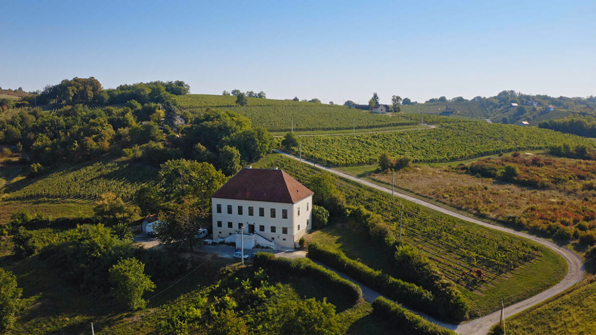 KURIJA NESPES_Vinarija kurija nespes