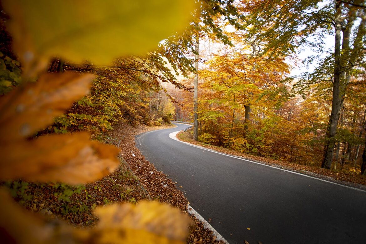 zagrebačka županija festival_via_vino