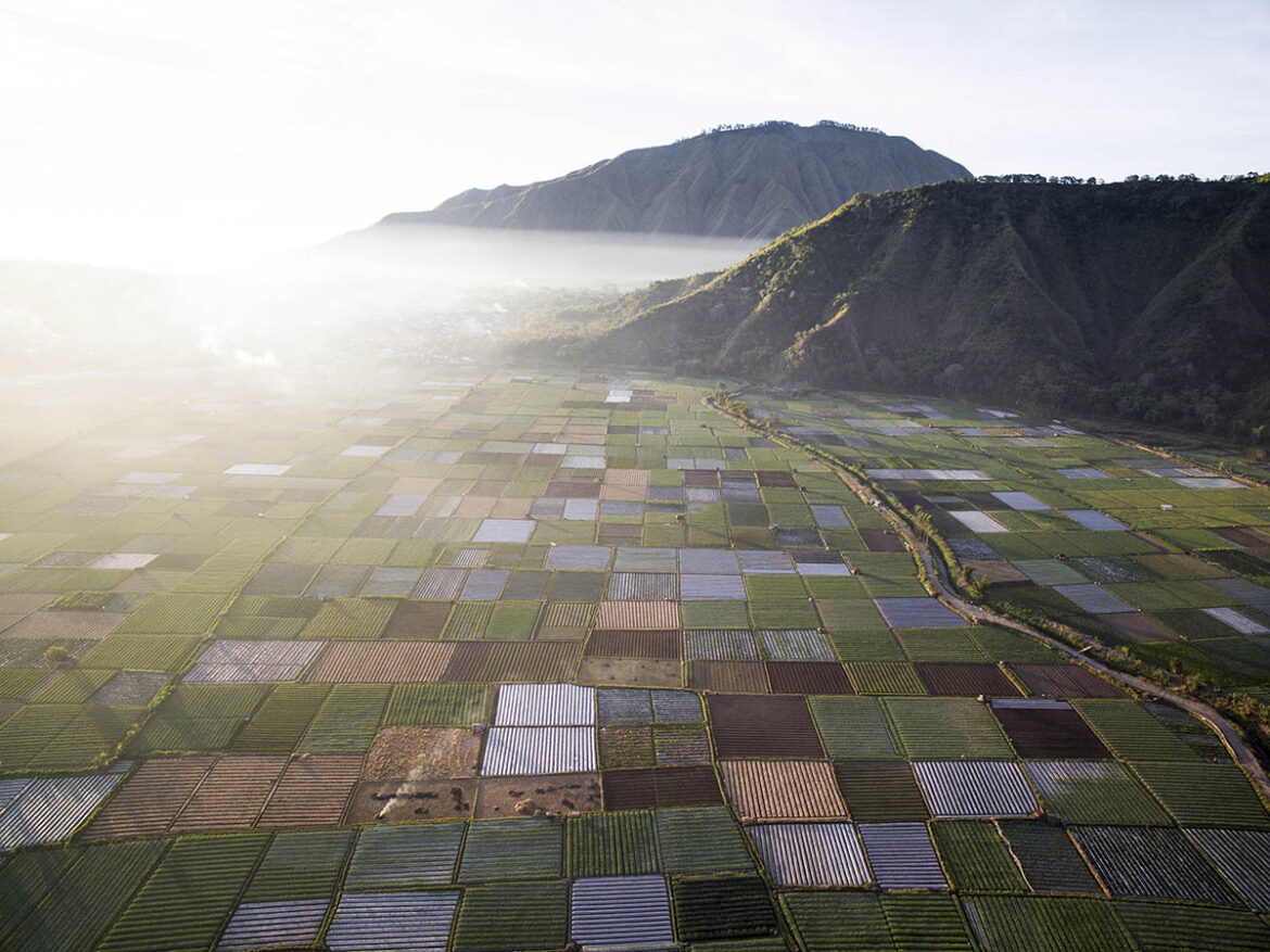 lombok polja jutro