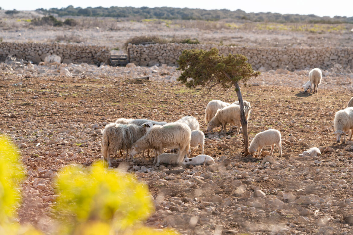 trail-pag-ovce2 life-on-mars-ovce