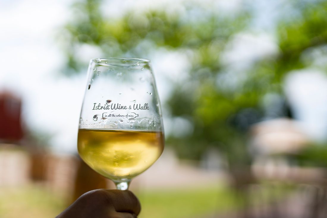 istria_wine__walk_2