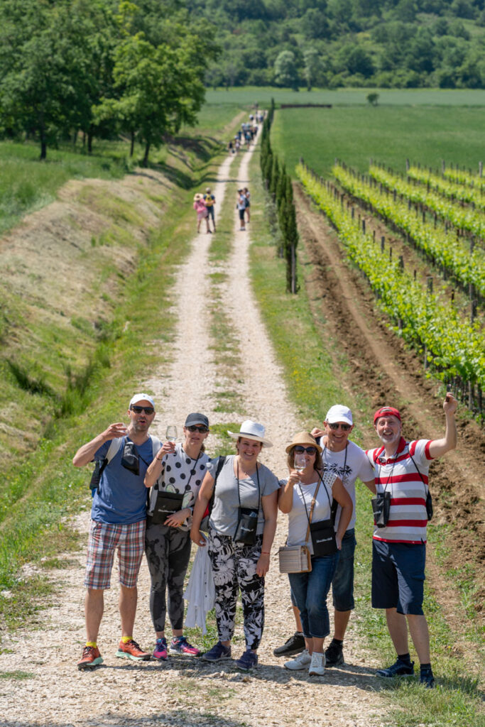 wine&walk-istra