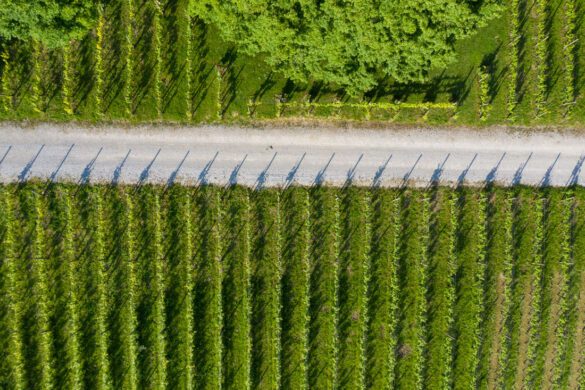 restoran-korak-michelin-2