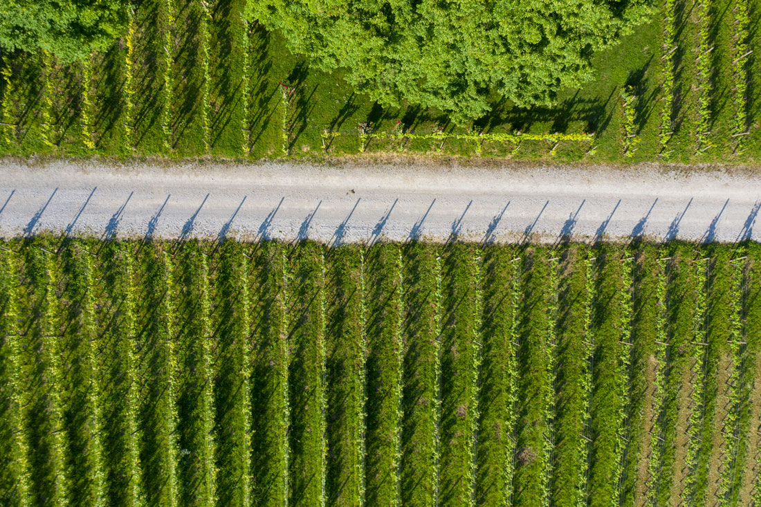 restoran-korak-michelin-2