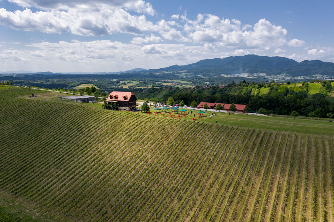 vinogradi-s-pogledom-vinograd