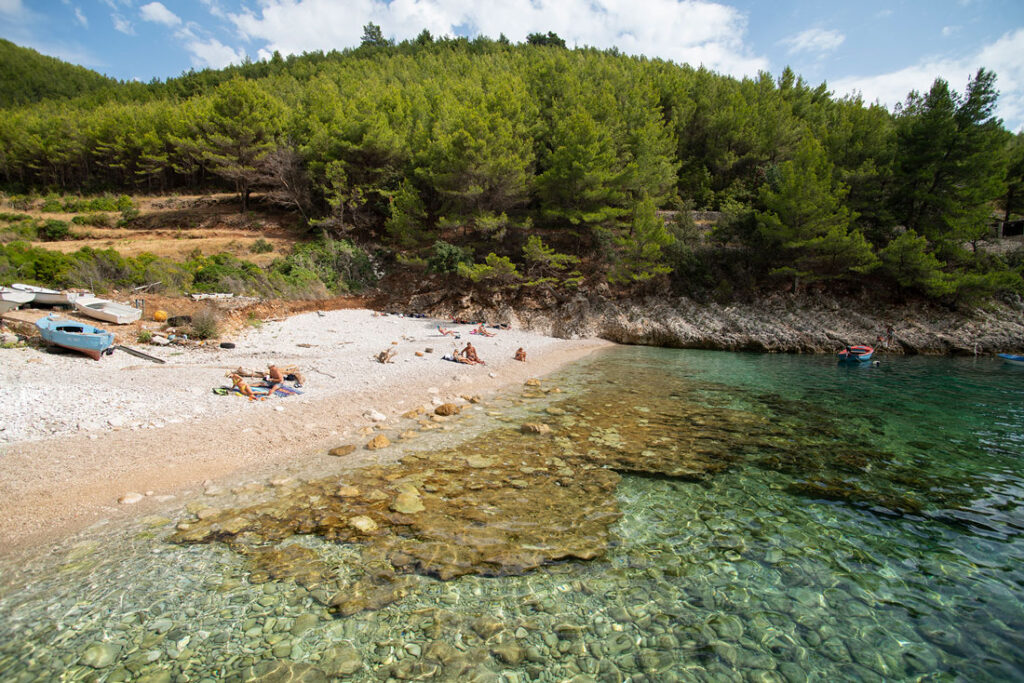 korcula_orlandusa