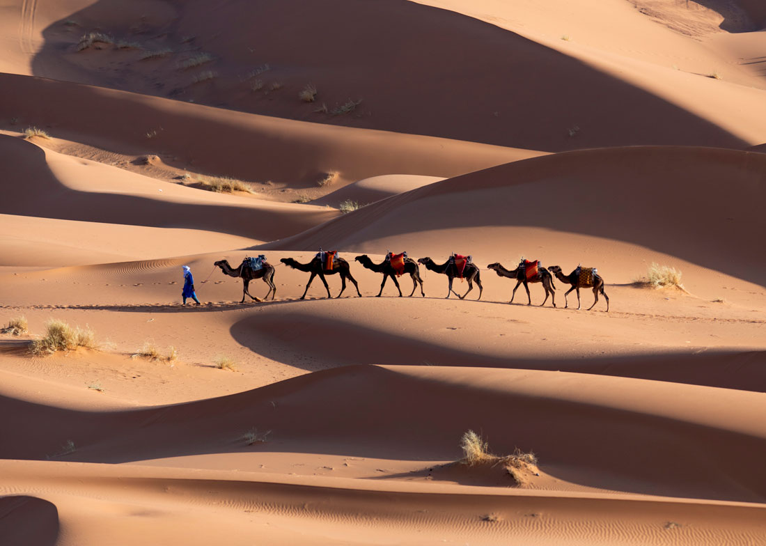 putovati-jeftino-maroko sahara deve