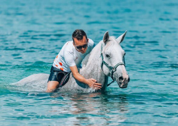 jahanje-konja-u-moru-naslovna