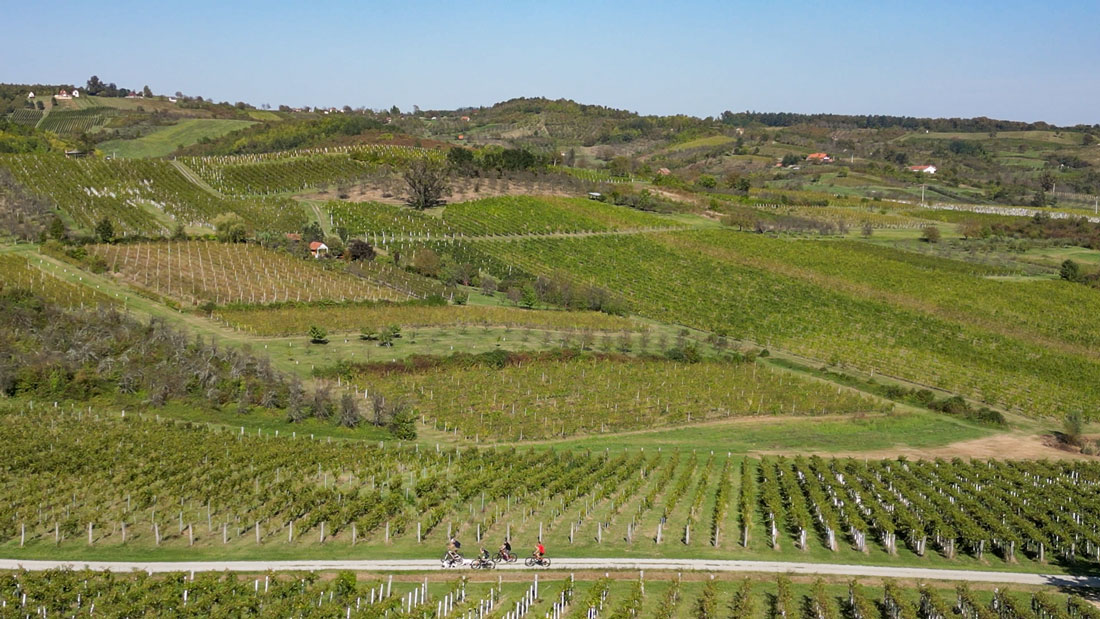 Brodsko-posavska-županija-dji1