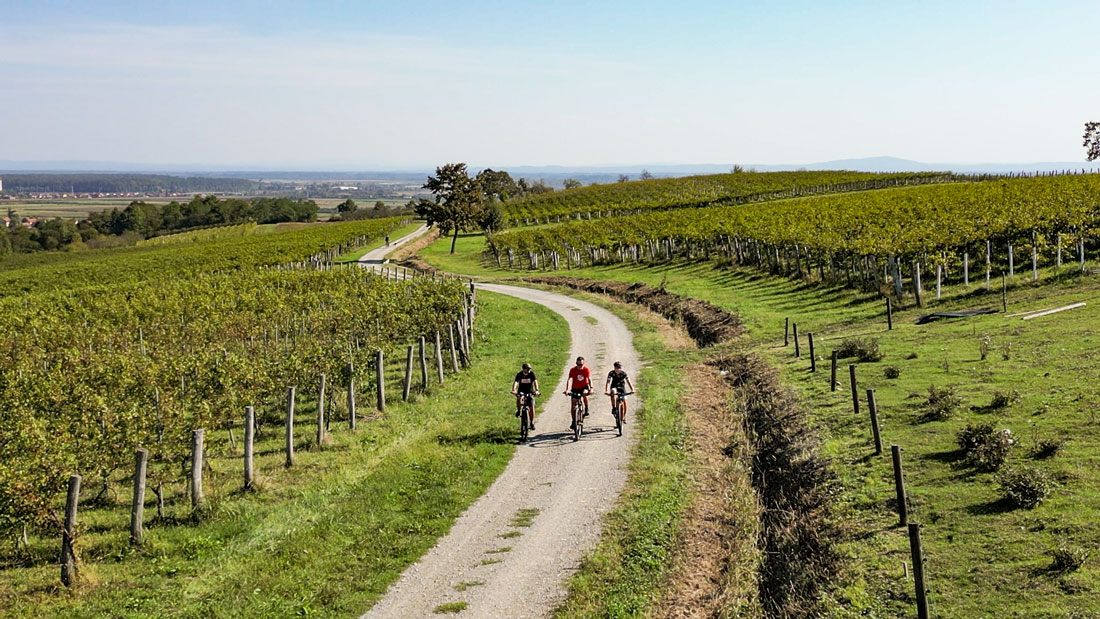 Brodsko-posavska-županija-dji2