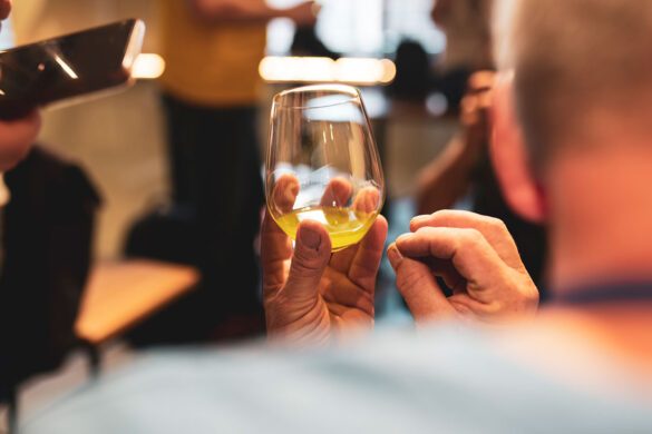 berba_maslina_vodnjan_domagoj-sever2