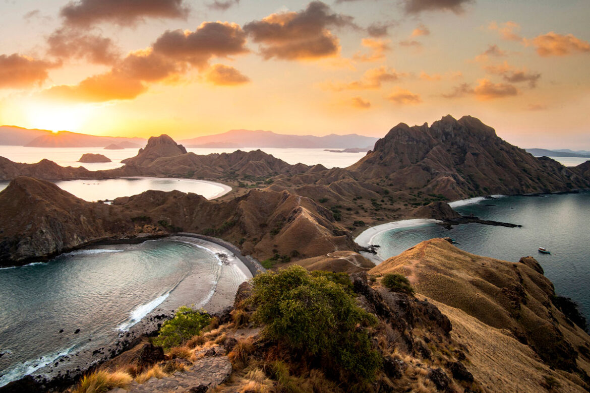 komodo-varan-padar
