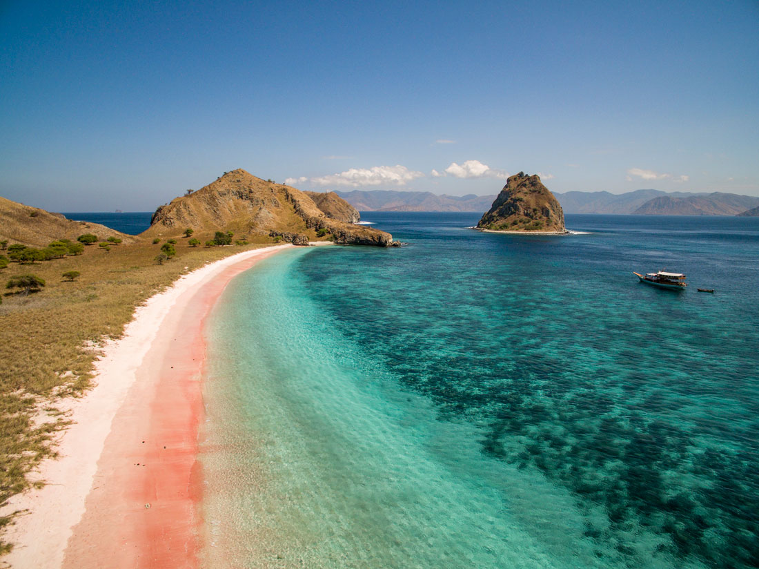 komodo-varan-plaza komodo-varan-plaza
