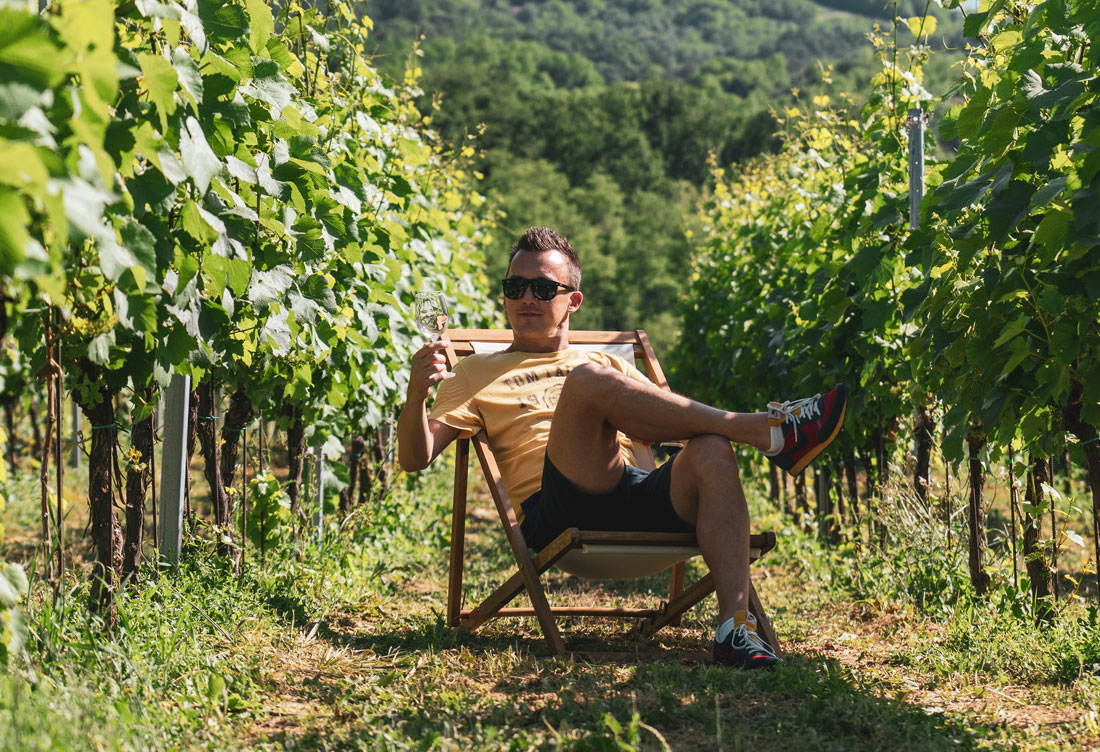 vinogradi_s_pogledom_1 vinogradi_s_pogledom_1