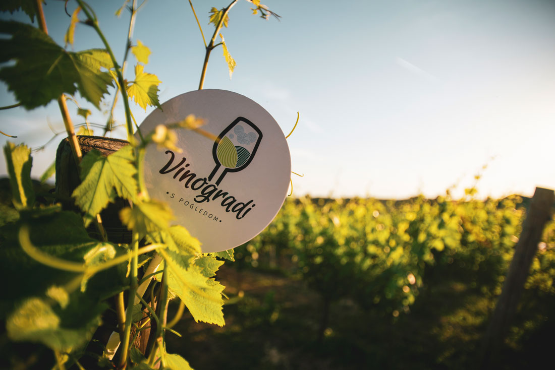 vinogradi_s_pogledom_2 vinogradi_s_pogledom_2