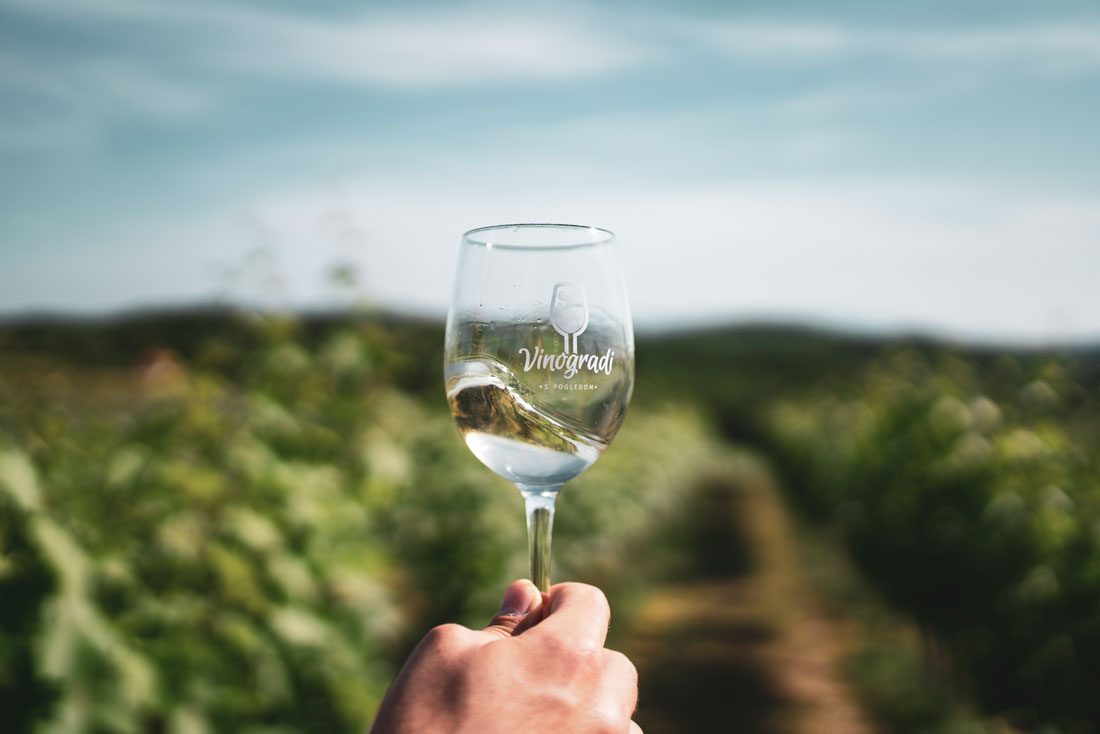 vinogradi_s_pogledom_4 vinogradi_s_pogledom_4