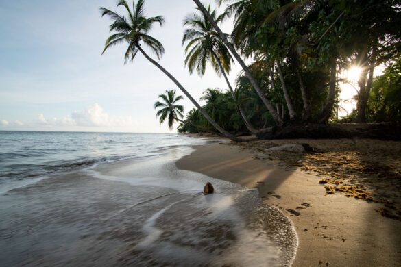 puerto_vijeo
