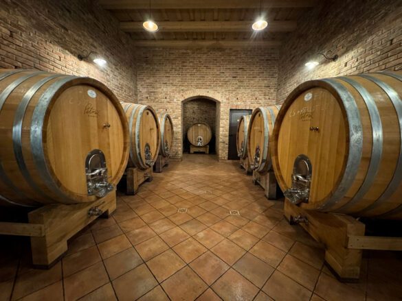 vinarija_petrac_1