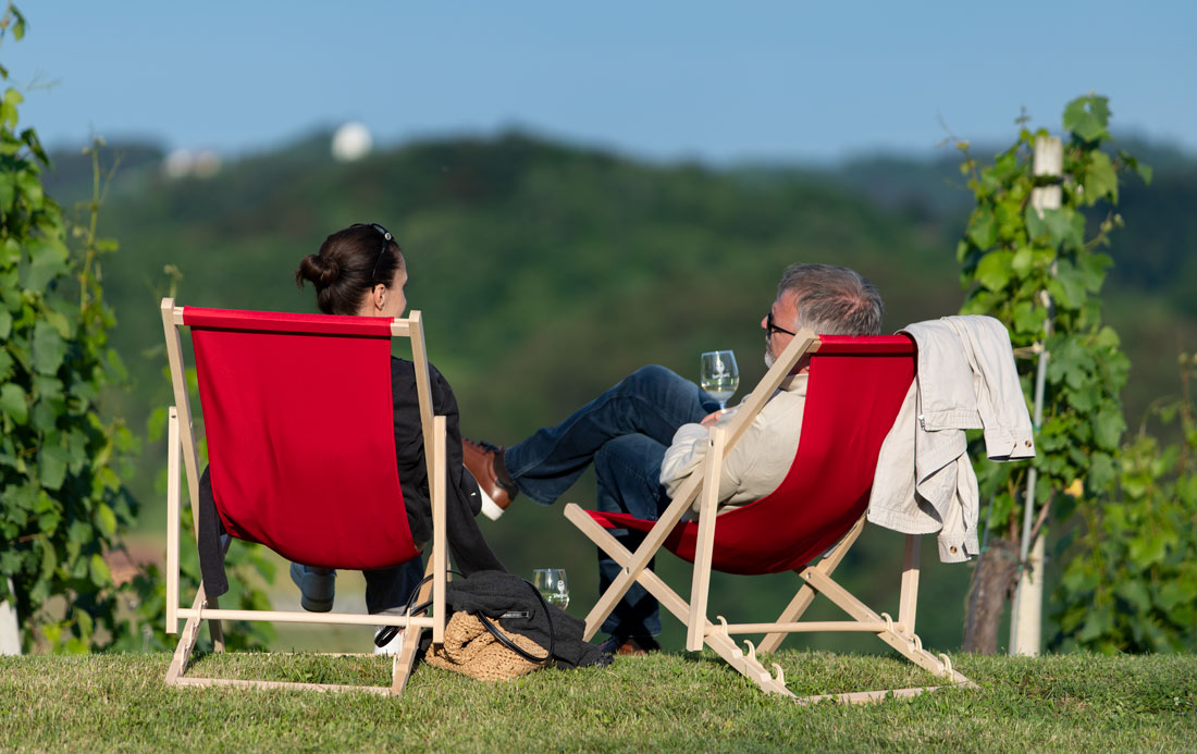 vinogradi_s_pogledom_2024_1 vinogradi_s_pogledom_2024_6