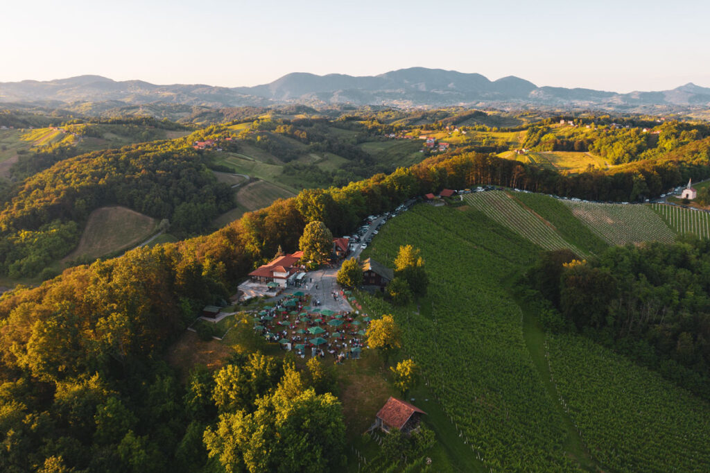 vinarija_petrac