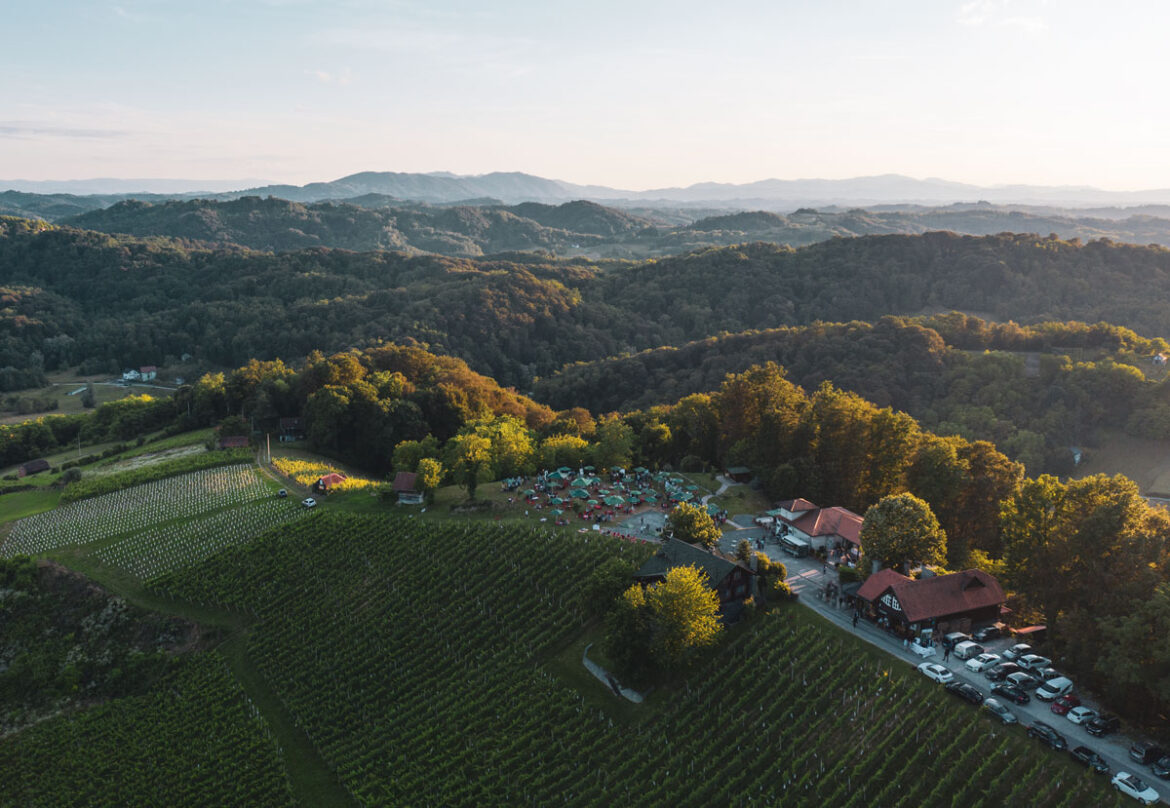 vinogradi_s_pogledom_2024_6 vinogradi_s_pogledom_2024_6