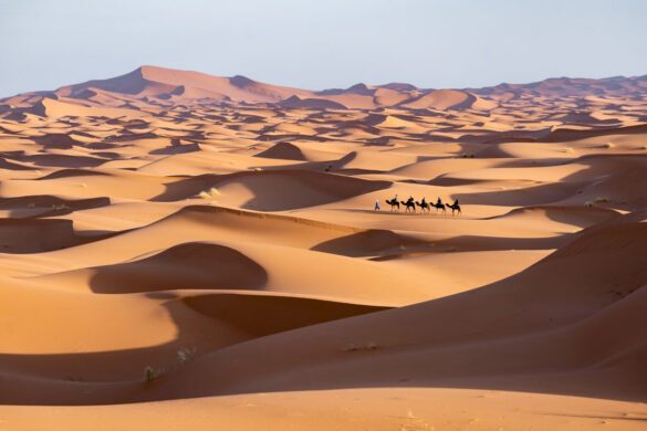 sahara