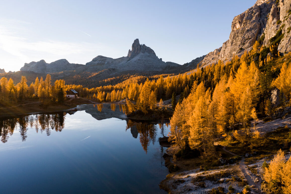 Kako-i-gdje-brati-gljive-naslovna Kako-i-gdje-brati-gljive-naslovna