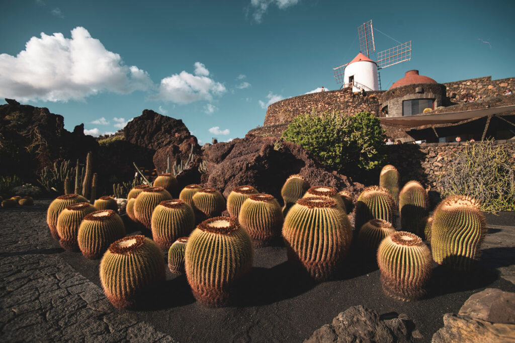 vodič lanzarote jardin de cactus