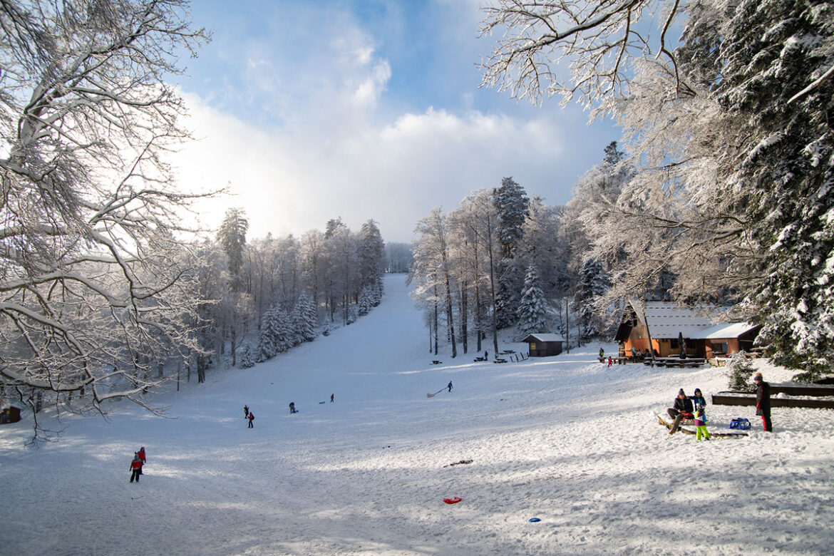 međunarodni-dan-planina-naslovna međunarodni dan planina naslovna