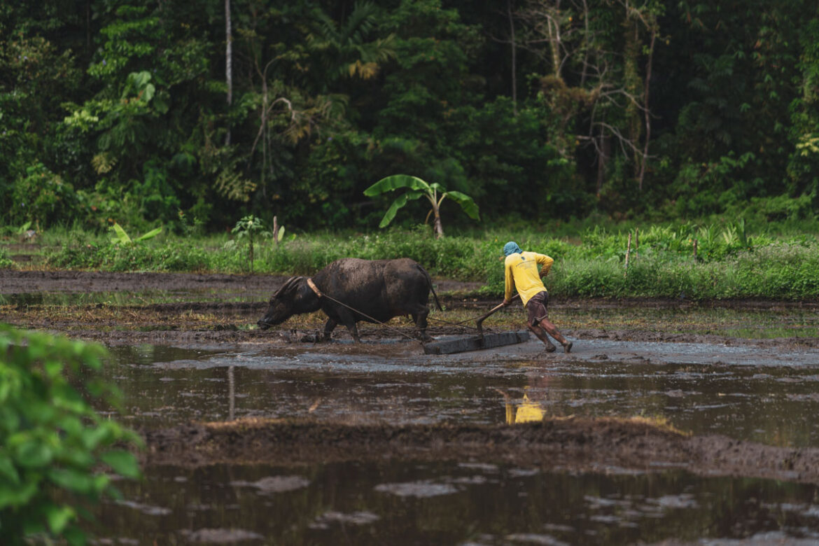 vodič za filipine galerija