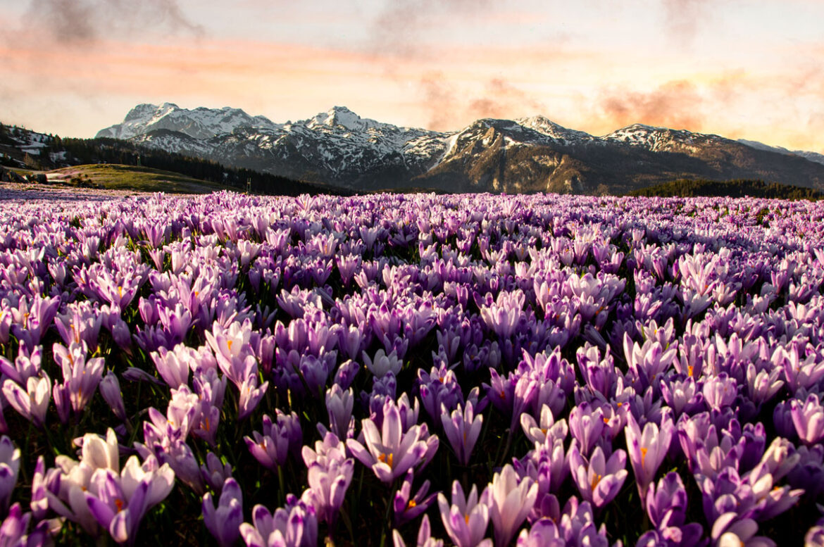 foto-natječaj-boje-naslovna-domagoj-sever foto-natječaj-boje-naslovna-domagoj-sever