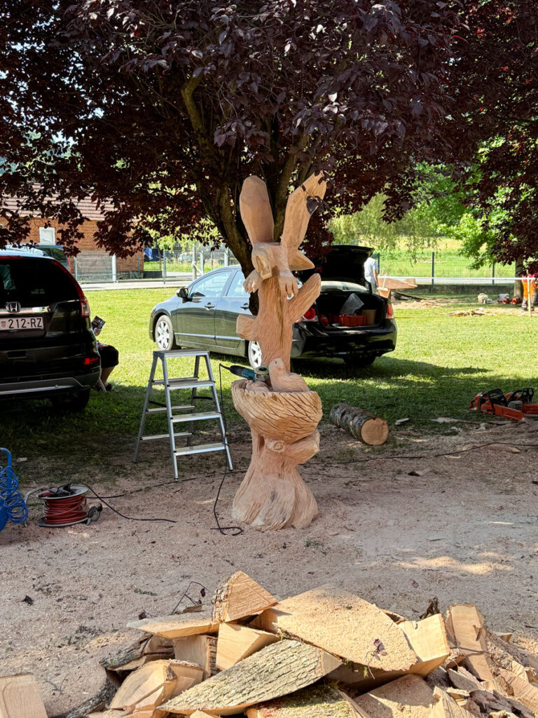 salinocu ivanec kiparenje