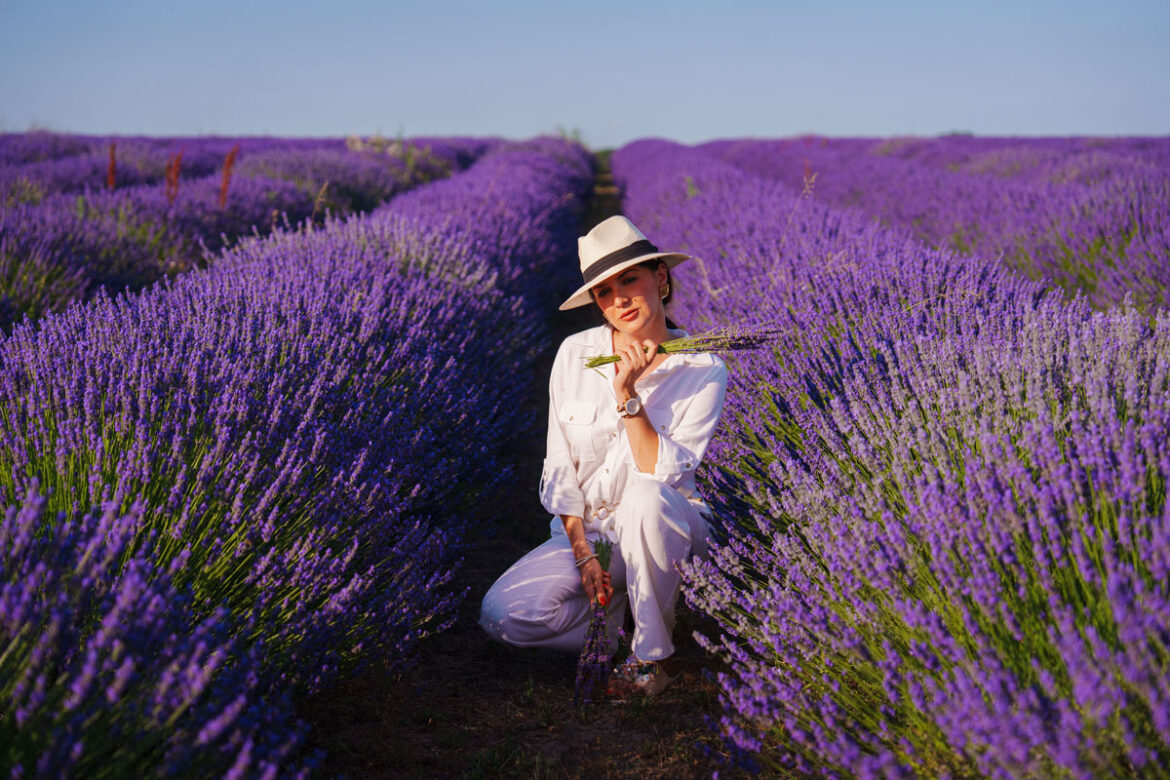 U-mirisu-lavande-vedran-culjak