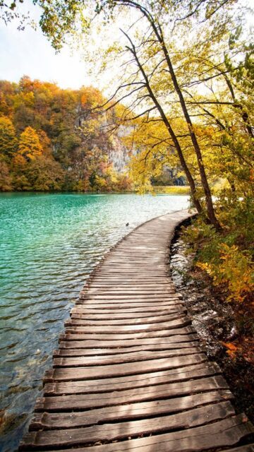 Plitvička jezera 🍁🍂📸
Promotivni tjedan ove godine traje od 25. listopada do 2. studenog 2024. godine, a posjetitelji imaju priliku istražiti čari Plitvica po promotivnim cijenama ulaznica - za odrasle iznosi 10,00 €, za studente 6 € i djecu 7-18 god 4 €. Djeca do 7 godina mogu ući u Nacionalni park besplatno.
#plitvice #plitvicelakes #jesen #autumn #nature #hrvatska #croatia
