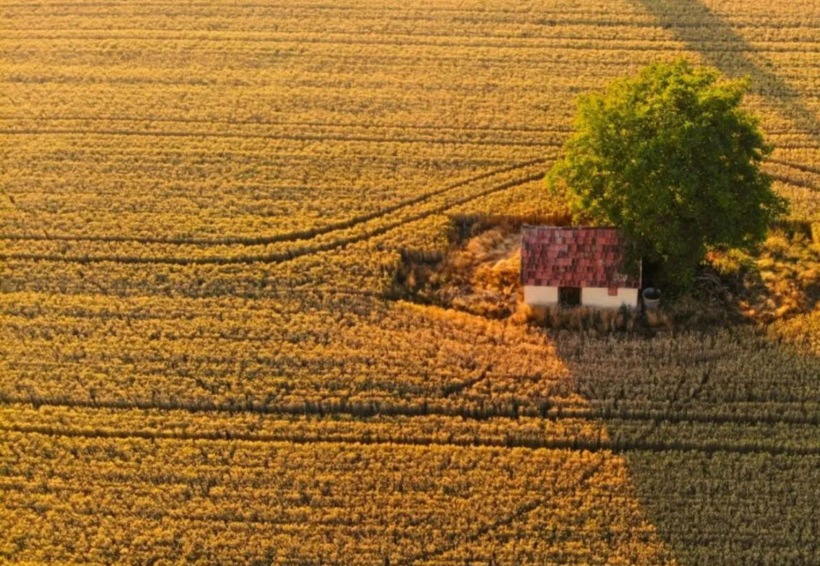 naslovna-Ankica-Ursić-Molnar naslovna-Ankica-Ursić-Molnar
