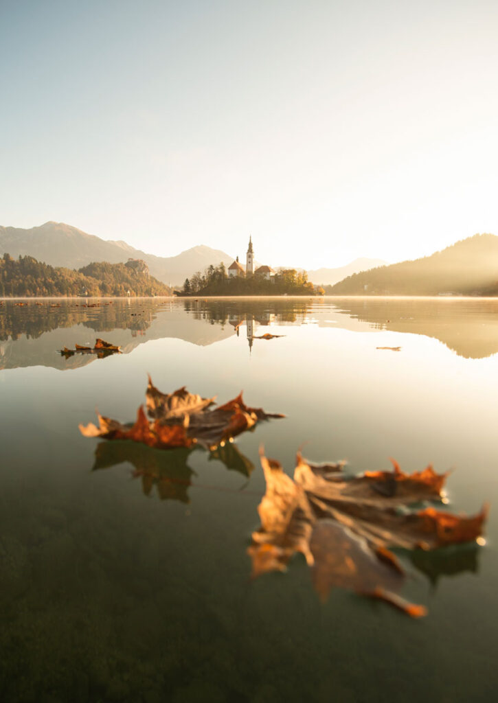 Bled