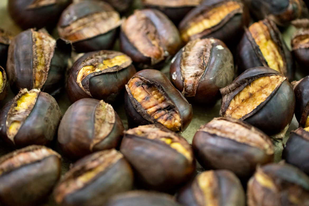 pečeni-kesteni-naslovna