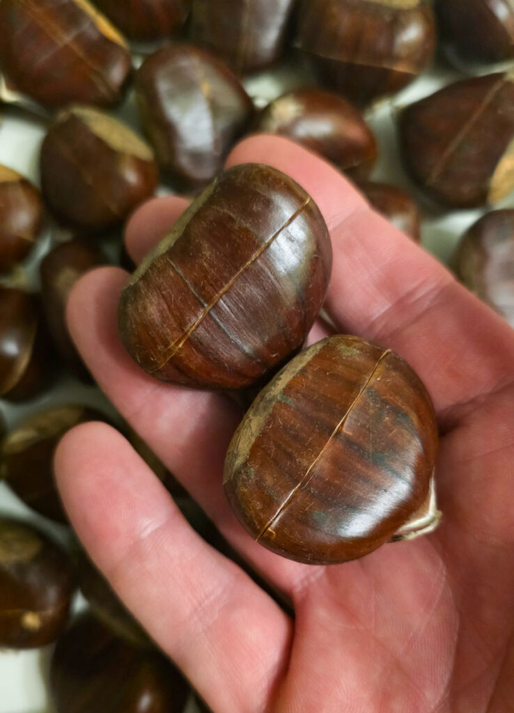 pečeni kesteni zerez