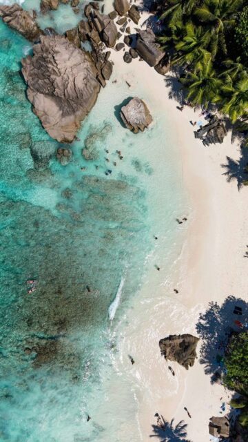 Novi blog o Sejšelima je gotov, još par detalja i ide objava 🇸🇨
Nakon vožnje trajektom pripremite se na ovakve gužve i čekanja kofera 🧳🤪
Kad me pitaju zašto imam žuti kofer, evo odgovor, jer se vidi na kilometar za razliku od 100 nijansi sive 🤣