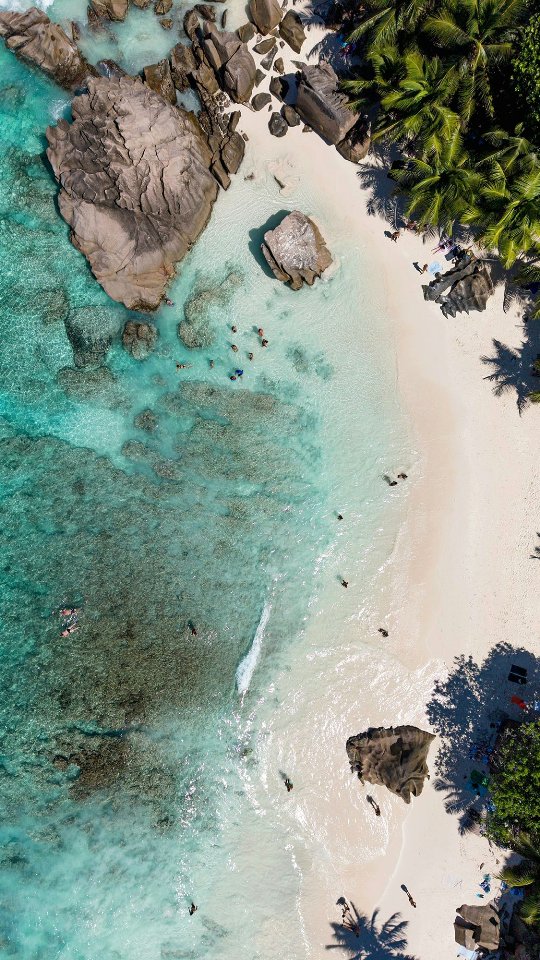 Novi blog o Sejšelima je gotov, još par detalja i ide objava 🇸🇨
Nakon vožnje trajektom pripremite se na ovakve gužve i čekanja kofera 🧳🤪
Kad me pitaju zašto imam žuti kofer, evo odgovor, jer se vidi na kilometar za razliku od 100 nijansi sive 🤣