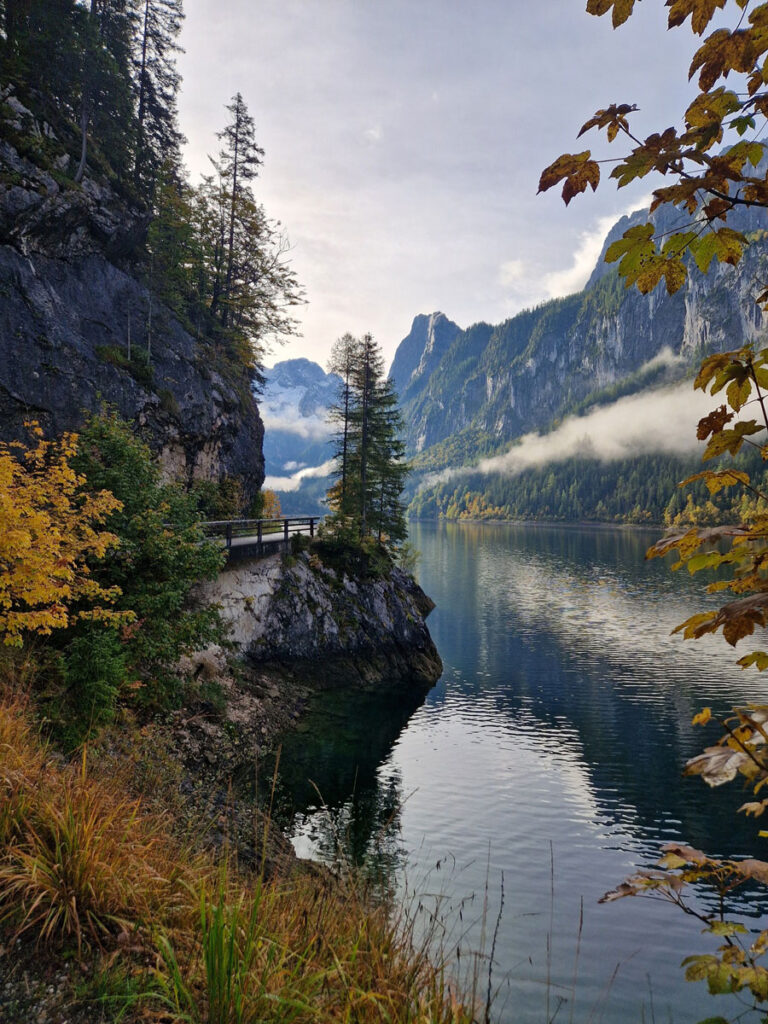 jesen-proglašenje-pobjednika-davorka-milinović