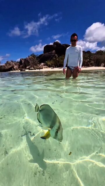 Ako planirate bilo gdje u tropske krajeve, evo što ja uvijek nosim da mi je put bez stresa. 
Prvo: krema s visokim zaštitnim faktorom ili još bolje majica za kupanje s UV zaštitom. Otkad ju koristim stvarno mi je jednostavnije jer se ne moram stalno iznova mazati. 
Drugo: vodonepropusna torba. Ima 5, 10 ili 20 litara i brutalna je za pješčane plaže. Ne ulazi pijesak, a bez brige ideš na kajak, brod ili bilo gdje na more. 
Treće: termos boca. Imaš uvijek hladnu vodu ili napitak koji voliš i ne gomilaš plastiku. 
Četvrto: Sprej protiv komaraca. Iako se komarci često tretiraju, ja ne riskiram i špricam se repelentima kad god stignem. 
I za kraj, da ti ne ponestane memorije na mobitelu ili fotoaparatu: Prijenosni Samsung SSD T7. Brzine zapisa do 1000 MB/s i brzine čitanja do 1050 MB/s, opcije 1, 2 i 4TB. Mali, brz i praktičan za put. 
Sadržaj sponzorira Samsung.