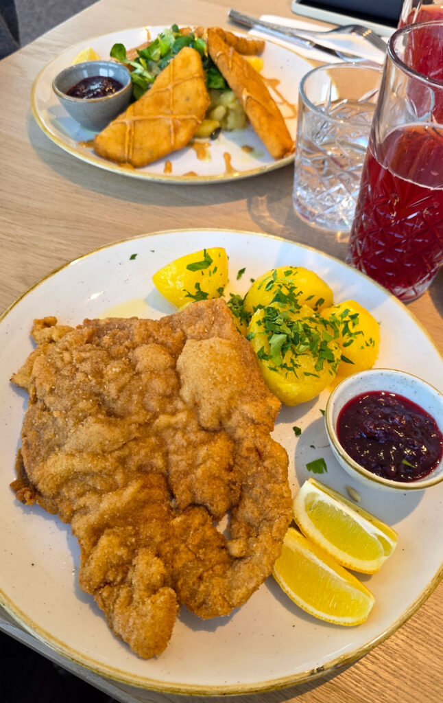 Schladming-Dachstein-hrana-2